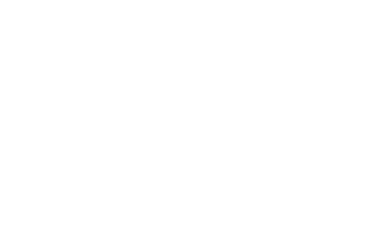 WASO_logo_WHITE-750x502.png